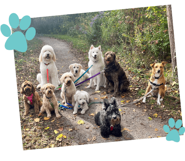 Meagan’s Paw Squad proudly serves Lincoln, Oakville, and Mississauga